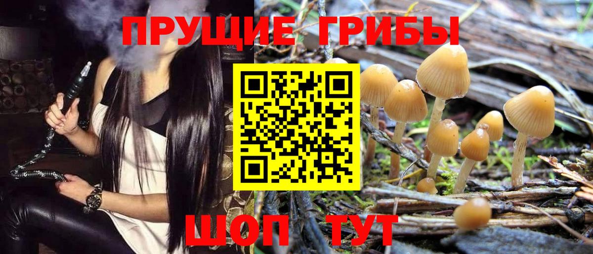Галлюциногенные грибы мицелий  Вход с VPN  где купить наркоту  Анжеро-Судженск 