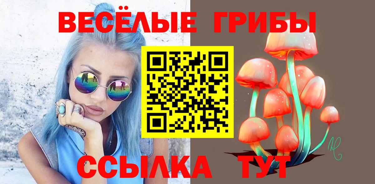 Псилоцибиновые грибы мухоморы Анжеро-Судженск