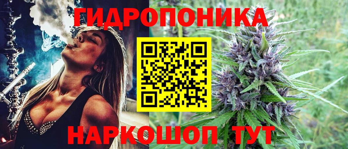 Конопля конопля Анжеро-Судженск